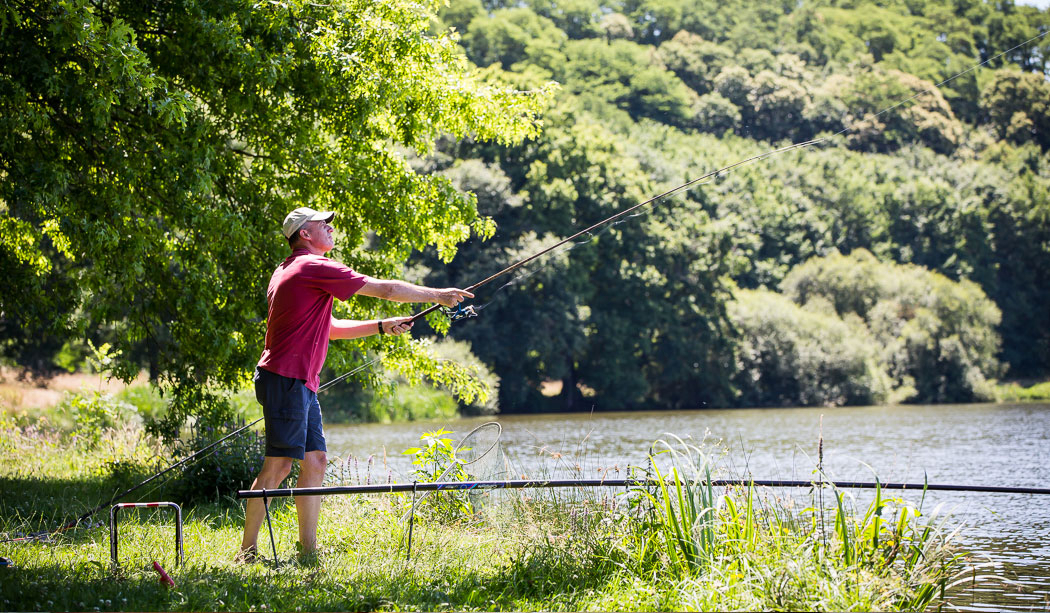 Le Pin Parasol Países del Loira - La Chapelle Hermier visuel 21/33 Le Pin Parasol Países del Loira - La Chapelle Hermier visuel 21/33