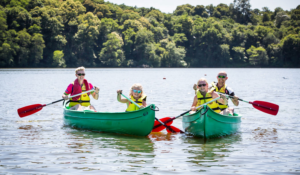 Le Pin Parasol Países del Loira - La Chapelle Hermier visuel 20/33 Le Pin Parasol Países del Loira - La Chapelle Hermier visuel 20/33