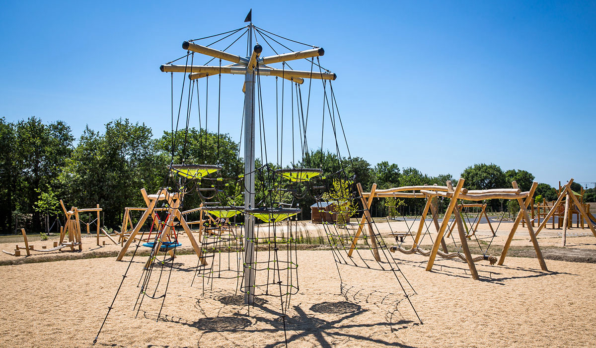 Le Pin Parasol Países del Loira - La Chapelle Hermier visuel 8/33 Le Pin Parasol Países del Loira - La Chapelle Hermier visuel 8/33