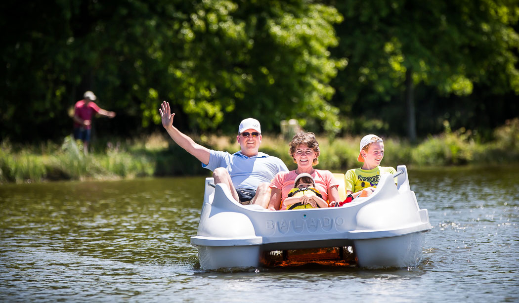 Le Pin Parasol Países del Loira - La Chapelle Hermier visuel 22/33 Le Pin Parasol Países del Loira - La Chapelle Hermier visuel 22/33