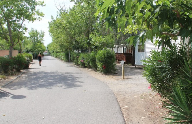 Le Pissevaches Languedoc-Rosellón - Fleury visuel 1/1 Le Pissevaches Languedoc-Rosellón - Fleury visuel 1/1
