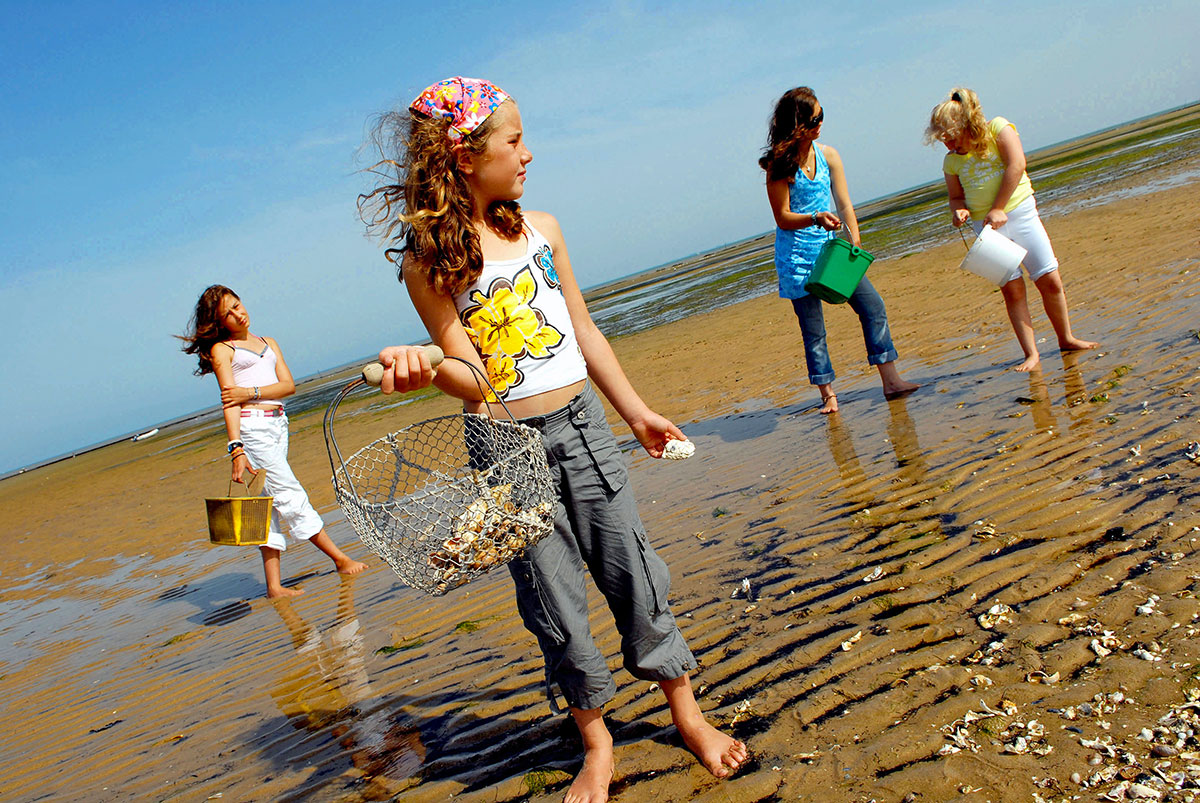 Le Platin Poitou-Charentes - Rivedoux-Plage visuel 13/15