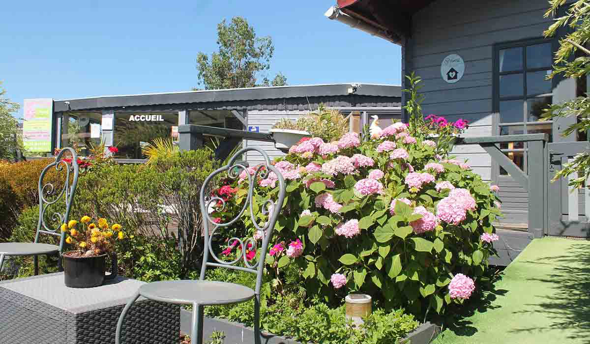 Le Préjoly Norte-Paso de Calais - Hondschoote visuel 3/4 Le Préjoly Norte-Paso de Calais - Hondschoote visuel 3/4