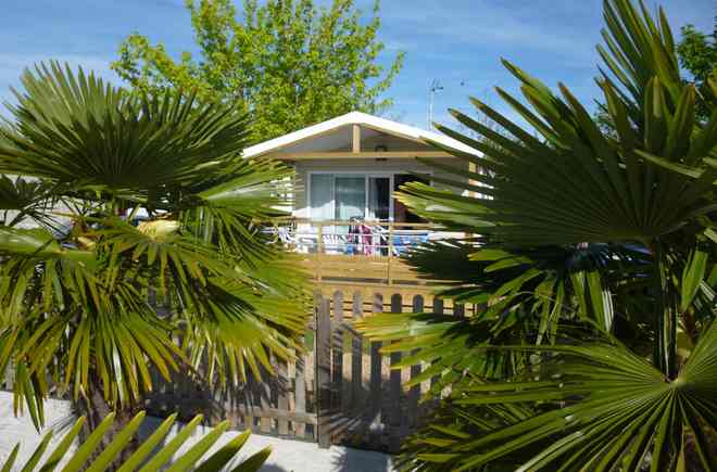 Le Pô Doré Países del Loira - Allonnes visuel 4/8