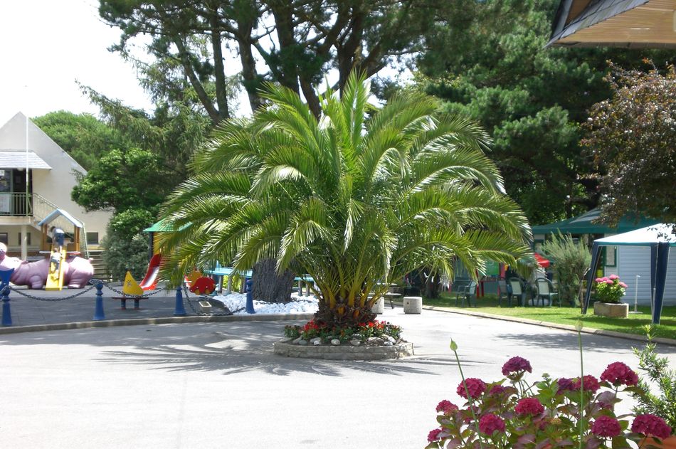 Le Raguenès Plage Bretaña - Névez visuel 9/9