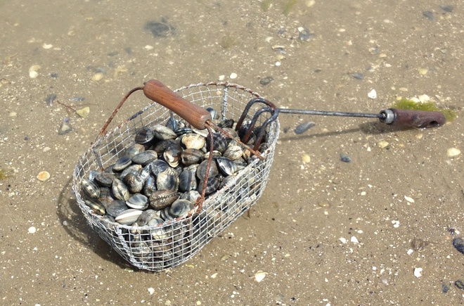 Le Rivage Países del Loira - Saint-Jean-de-Monts visuel 3/5