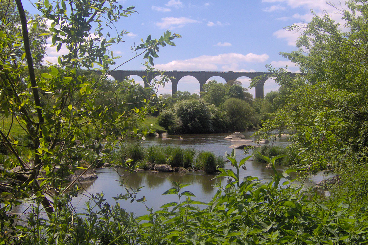 Le Rouge Gorge Países del Loira - Saint-Laurent-sur-Sèvre visuel 5/11