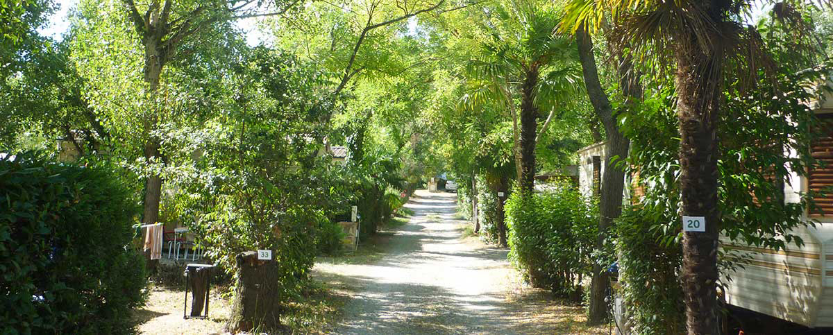Le Saint Martin Languedoc-Rosellón - Céret visuel 2/3 Le Saint Martin Languedoc-Rosellón - Céret visuel 2/3