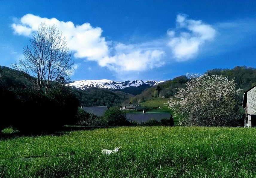 Le Saint Roch Mediodía-Pirineos - Campan visuel 1/1