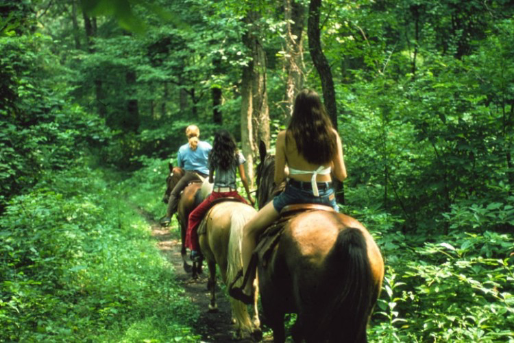 Le Soline Toscana - Casciano visuel 6/9 Le Soline Toscana - Casciano visuel 6/9