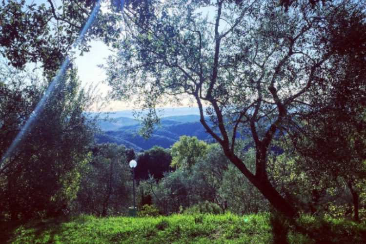 Le Soline Toscana - Casciano visuel 8/9 Le Soline Toscana - Casciano visuel 8/9