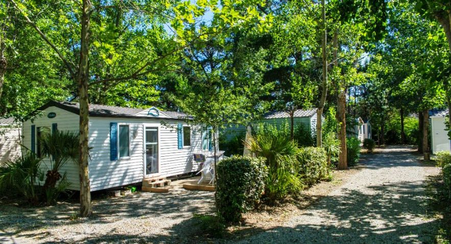 Le Texas Languedoc-Rosellón - Argelès-sur-Mer visuel 3/4 Le Texas Languedoc-Rosellón - Argelès-sur-Mer visuel 3/4