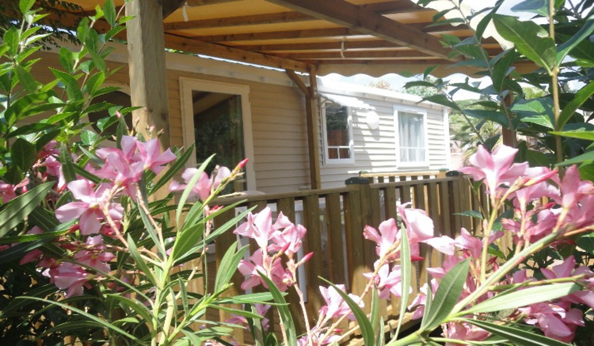 Les Acacias Provenza-Alpes-Costa Azul - Fréjus visuel 6/10 Les Acacias Provenza-Alpes-Costa Azul - Fréjus visuel 6/10