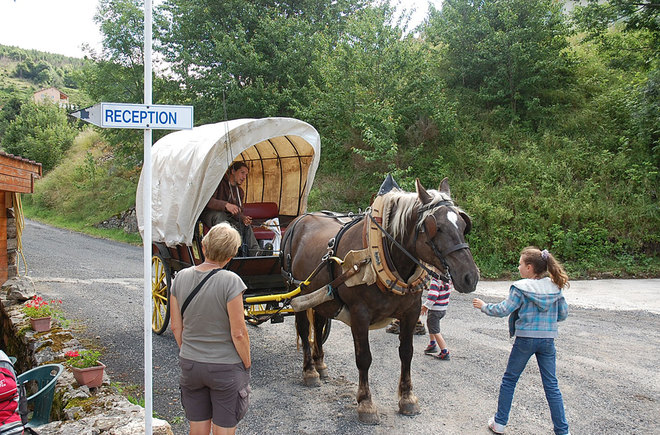 Les Airelles Ródano-Alpes - Saint-Cirgues-en-Montagne visuel 4/6 Les Airelles Ródano-Alpes - Saint-Cirgues-en-Montagne visuel 4/6