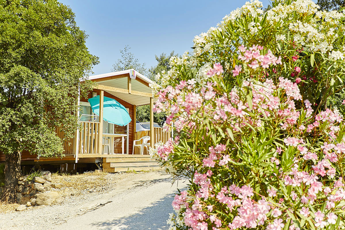 Les Albères Languedoc-Rosellón - Laroque-des-Albères visuel 16/31 Les Albères Languedoc-Rosellón - Laroque-des-Albères visuel 16/31