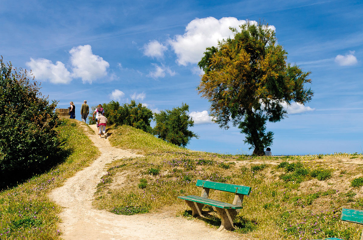 Les Amis de la Plage Poitou-Charentes - Le Bois-Plage-en-Ré visuel 7/19