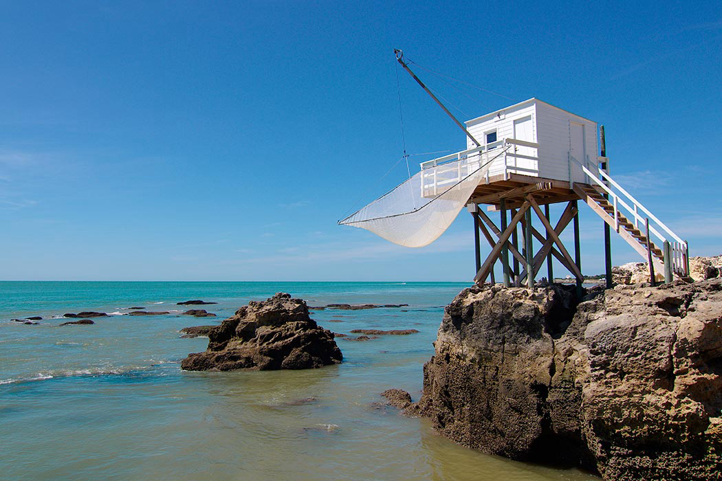 Les Catalpas Poitou-Charentes - Saint-Georges-de-Didonne visuel 7/7