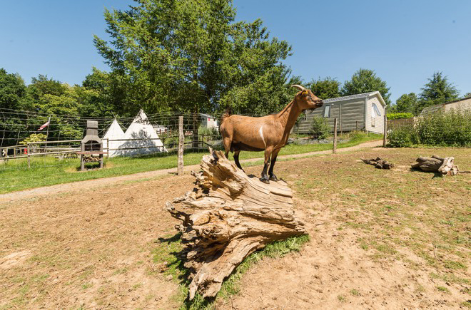 Les Cerisiers Bretaña - Guillac visuel 9/29 Les Cerisiers Bretaña - Guillac visuel 9/29
