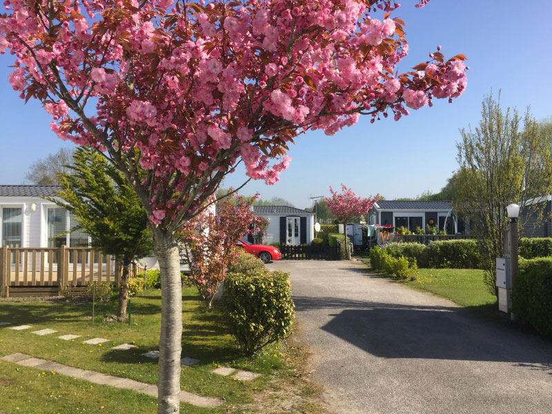 Les Cerisiers Norte-Paso de Calais - Verton visuel 2/7