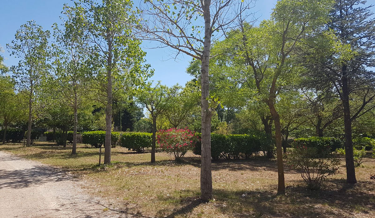 Les Cottages de Saint André Languedoc-Rosellón - Saint-André-de-Sangonis visuel 4/7 Les Cottages de Saint André Languedoc-Rosellón - Saint-André-de-Sangonis visuel 4/7