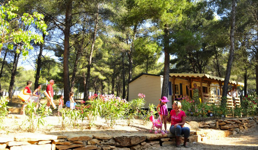Les Dauphins Provenza-Alpes-Costa Azul - Saint-Cyr-sur-Mer visuel 1/4