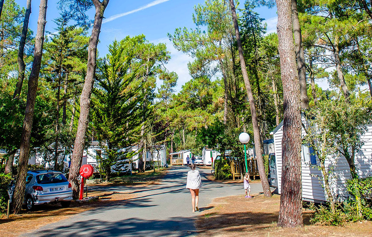 Les Dunes Países del Loira - Longeville sur Mer visuel 5/12 Les Dunes Países del Loira - Longeville sur Mer visuel 5/12
