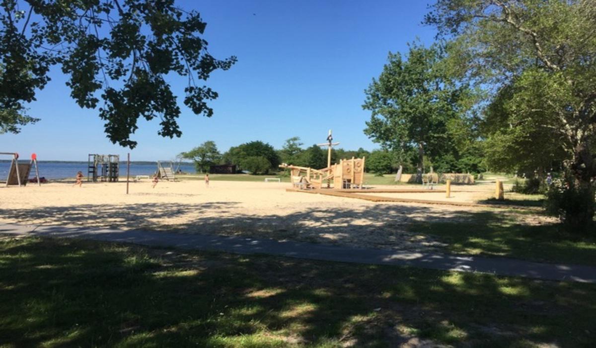 Les Echasses Aquitania - Gastes visuel 1/8 Les Echasses Aquitania - Gastes visuel 1/8