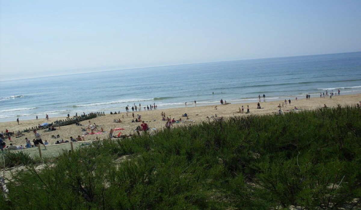 Les Echasses Aquitania - Gastes visuel 7/8 Les Echasses Aquitania - Gastes visuel 7/8