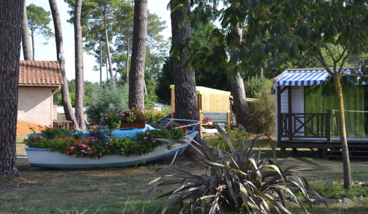 Les Echasses Aquitania - Gastes visuel 2/8 Les Echasses Aquitania - Gastes visuel 2/8