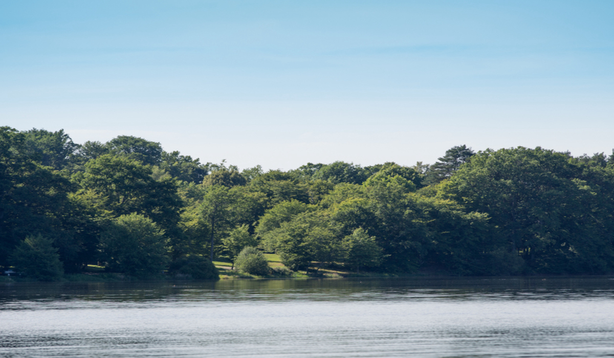 Les Ecossais Auvernia - Isle-et-Bardais visuel 2/5