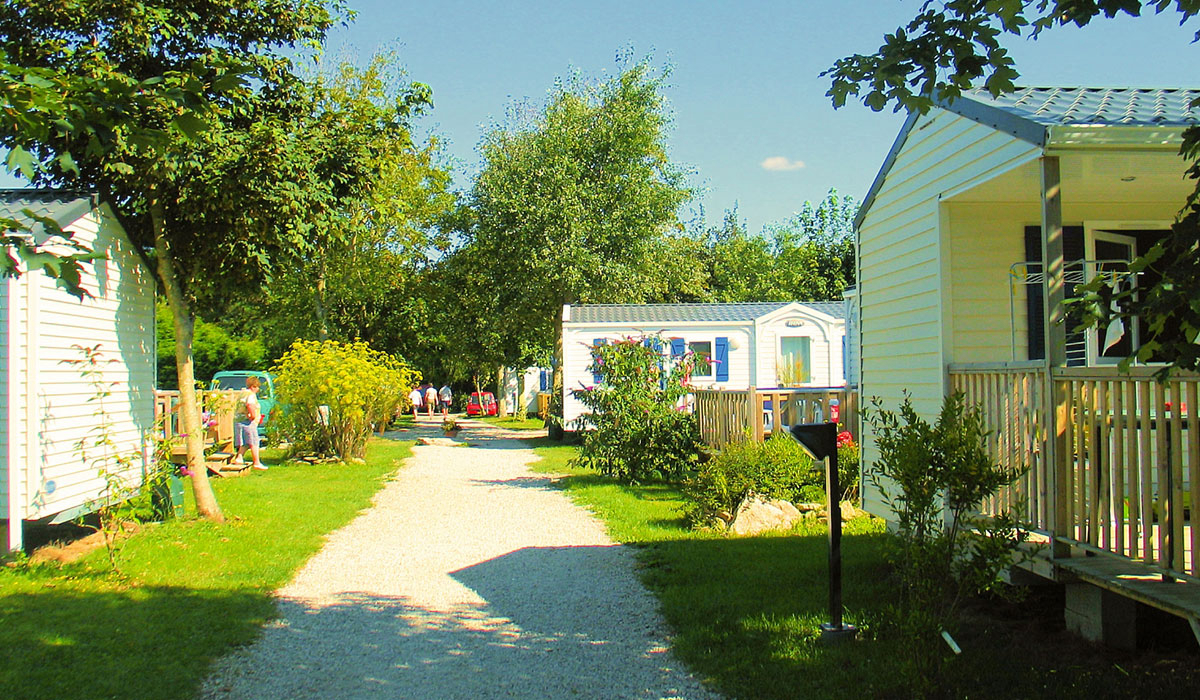 Les Genets Bretaña - Penmarc'h visuel 4/4 Les Genets Bretaña - Penmarc'h visuel 4/4