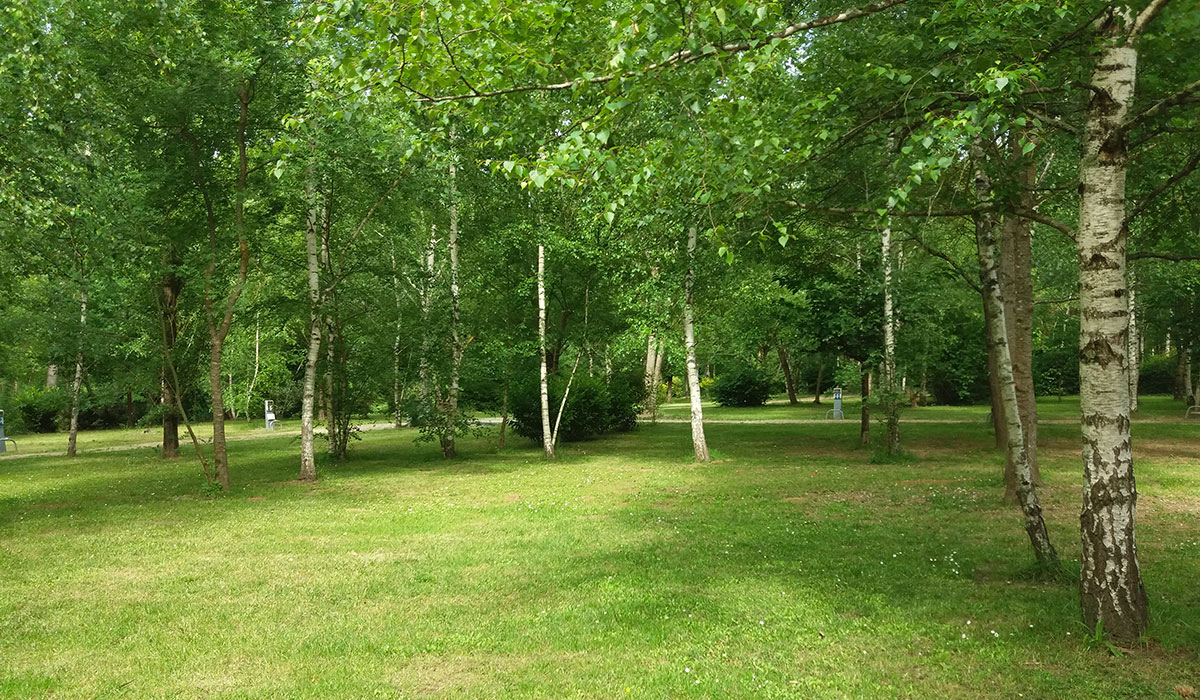 Les Gorges de l'Aveyron Mediodía-Pirineos - Saint-Antonin-Noble-Val visuel 10/14 Les Gorges de l'Aveyron Mediodía-Pirineos - Saint-Antonin-Noble-Val visuel 10/14