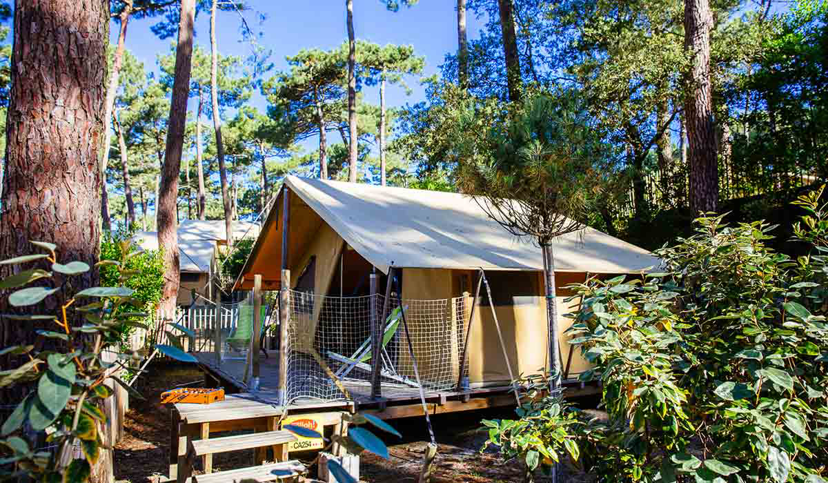 Les Grands Pins Aquitania - Lacanau visuel 6/10 Les Grands Pins Aquitania - Lacanau visuel 6/10