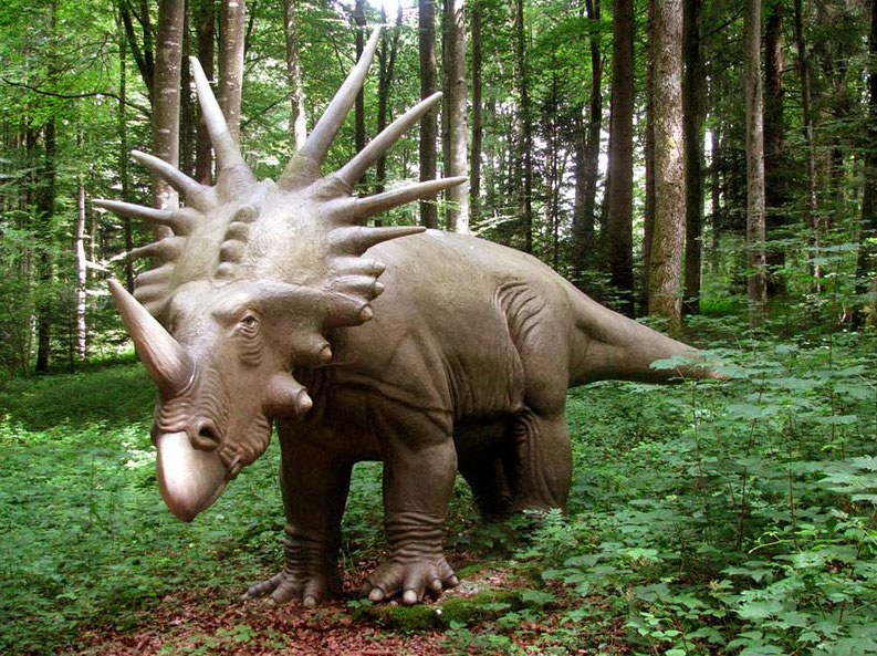 Les Grottes Espace Mittelland - Réclère visuel 9/9