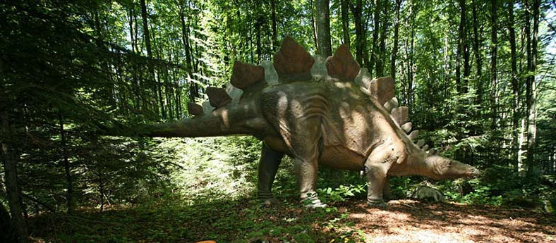 Les Grottes Espace Mittelland - Réclère visuel 1/9