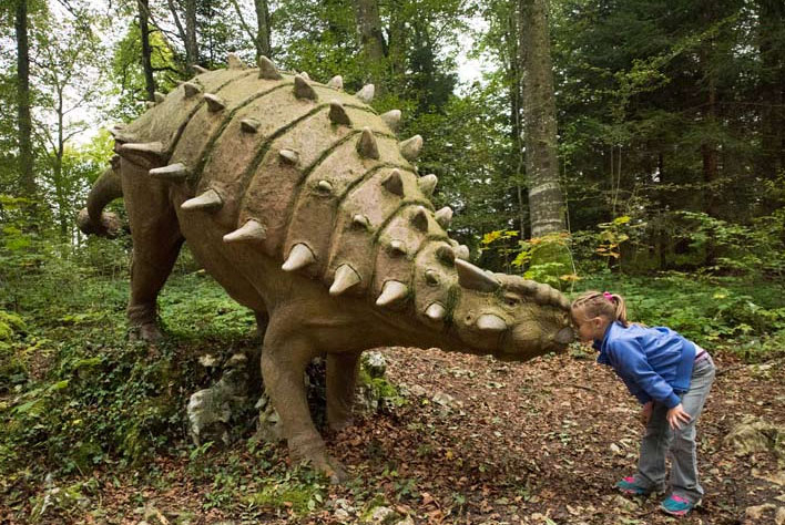 Les Grottes Espace Mittelland - Réclère visuel 7/9