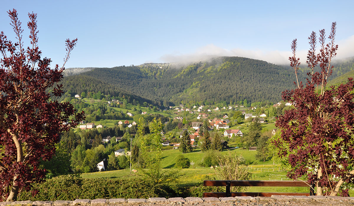 Les Huttes Alsacia - Wangenbourg-Engenthal visuel 6/12