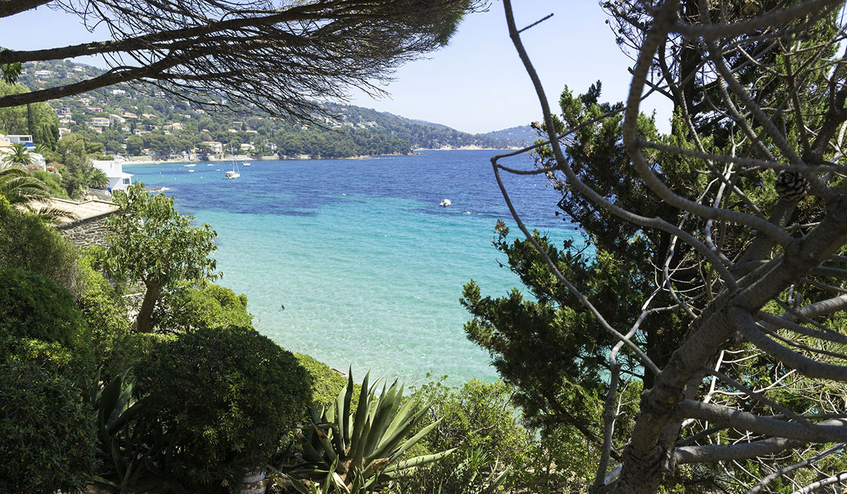 Les Mimosas Provenza-Alpes-Costa Azul - Le Lavandou visuel 2/7