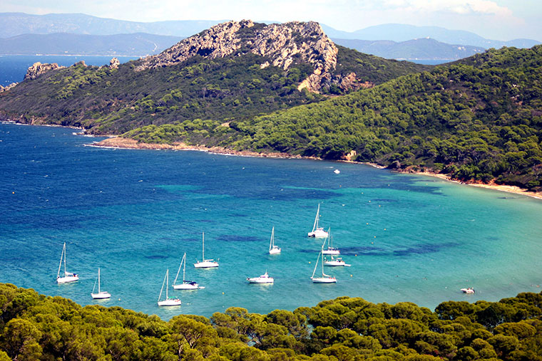 Les Mimosas Provenza-Alpes-Costa Azul - Le Lavandou visuel 6/7