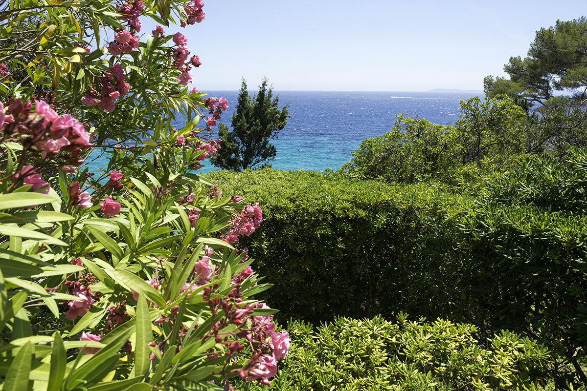 Les Mimosas Provenza-Alpes-Costa Azul - Le Lavandou visuel 4/7