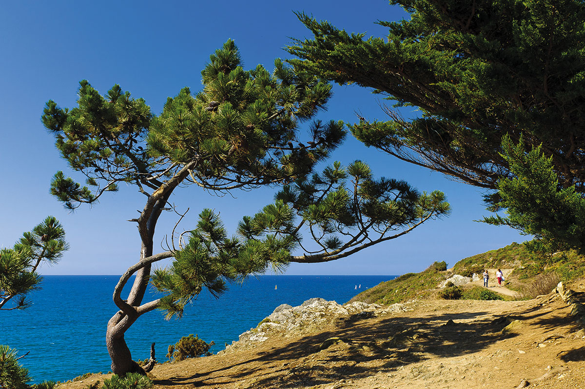 Val-André Bretaña - Pléneuf-Val-André visuel 11/17