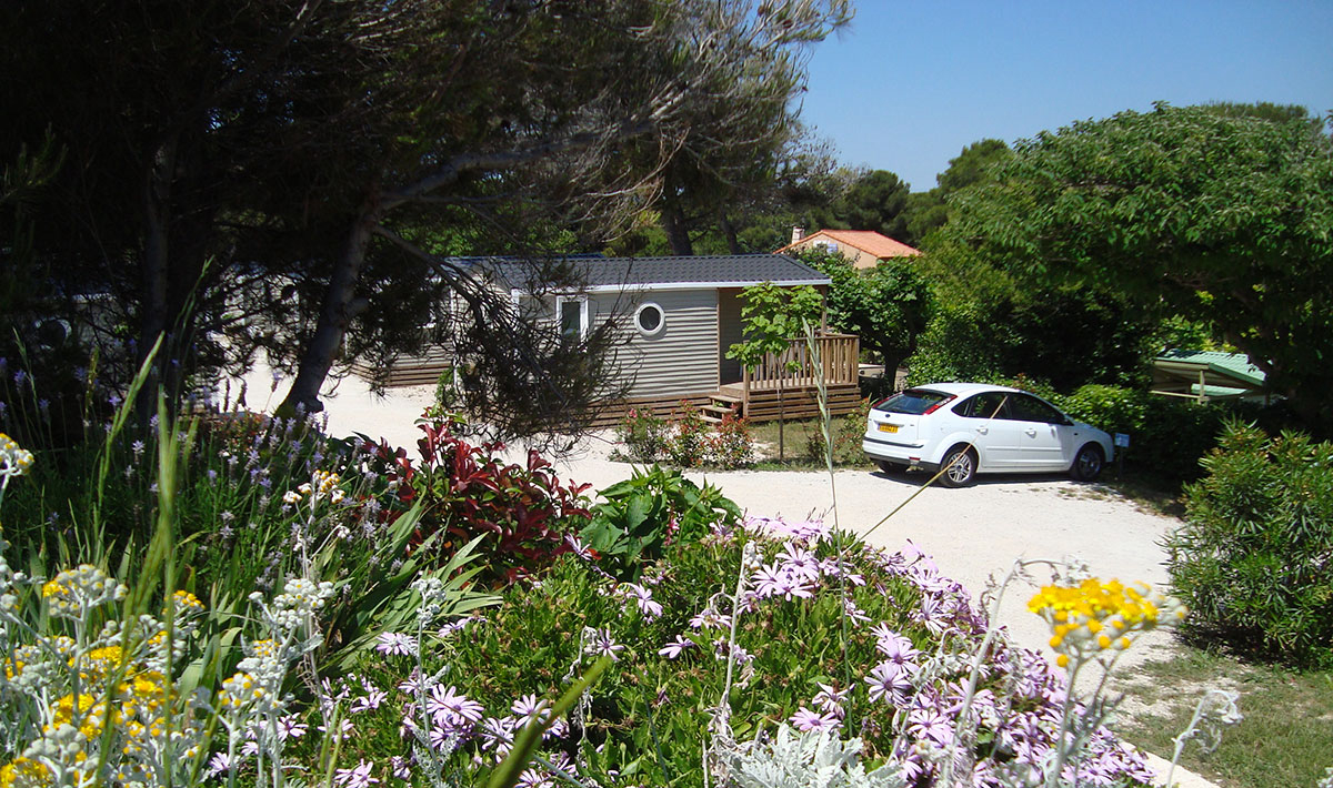 Les Mouettes Provenza-Alpes-Costa Azul - La Couronne - Ste Croix visuel 4/8