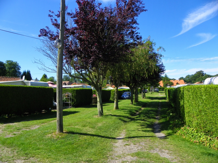 Les Moutons Alta Normandía - Blosseville visuel 1/1 Les Moutons Alta Normandía - Blosseville visuel 1/1