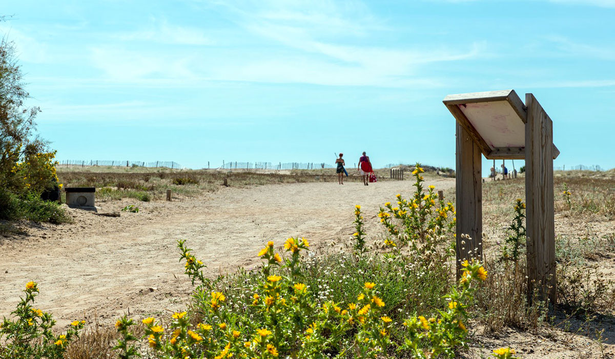 Les Mûriers Languedoc-Rosellón - Vendres visuel 13/14