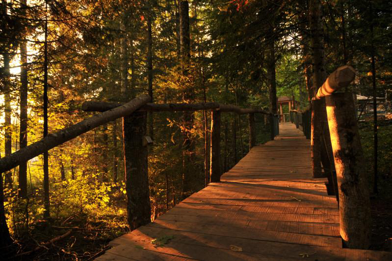 Les Nids Espace Mittelland - Le Locle visuel 2/2