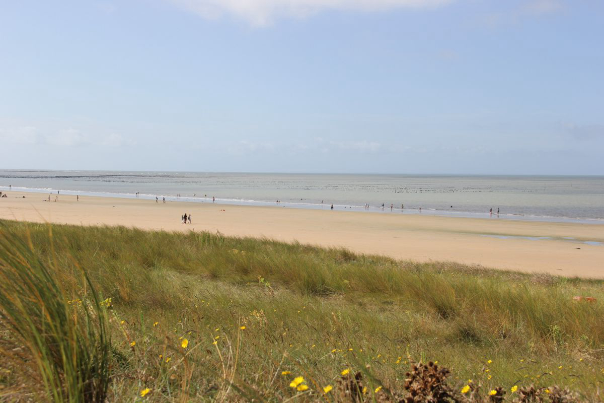 Les Oncheres Países del Loira - Barbâtre visuel 4/4 Les Oncheres Países del Loira - Barbâtre visuel 4/4