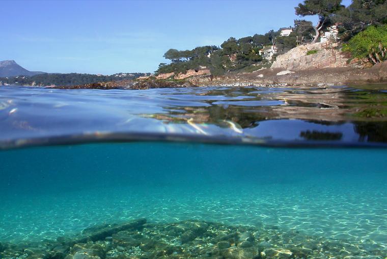 Les Oursinières Provenza-Alpes-Costa Azul - Le Pradet visuel 7/9