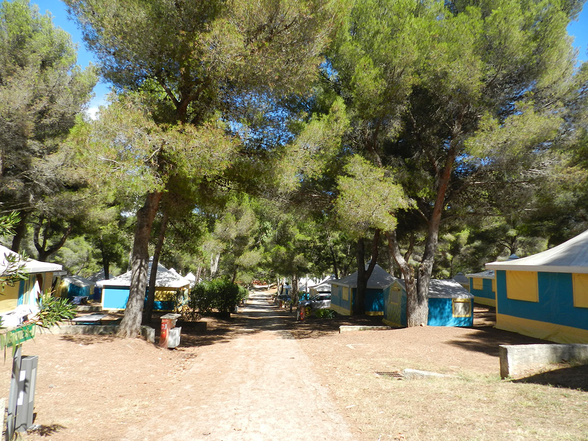 Les Oursinières Provenza-Alpes-Costa Azul - Le Pradet visuel 5/9