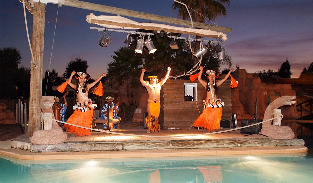 Les Palmiers Provenza-Alpes-Costa Azul - Hyères visuel 3/9 Les Palmiers Provenza-Alpes-Costa Azul - Hyères visuel 3/9