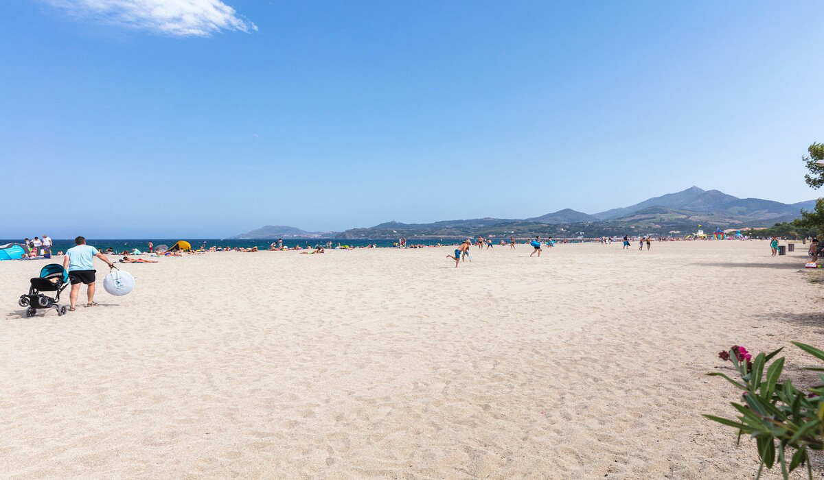 Les Pins Languedoc-Rosellón - Argelès-sur-Mer visuel 9/12